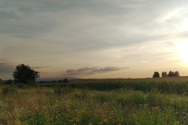 Brockenblick