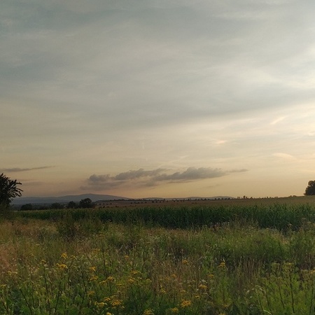 Brockenblick
