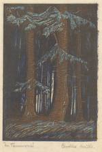 Im Tannenwald, 1917, Farbholzschnitt